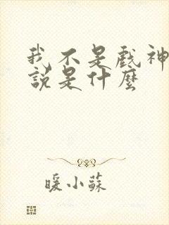 我不是戏神的小说是什么