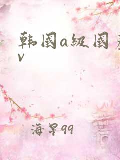 韩国a级国产av