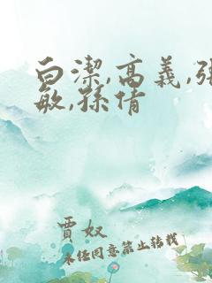 白洁,高义,张敏,孙倩