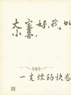 大家好,我叫林小喜,