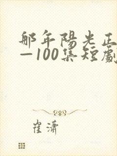 那年阳光正好1—100集短剧免费观看