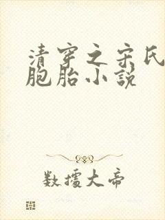 清穿之宋氏生三胞胎小说