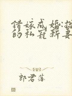 错嫁成婚:总裁的私宠新妻最后结局