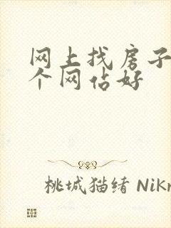 网上找房子租哪个网站好