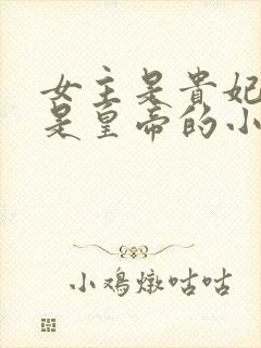 女主是贵妃男主是皇帝的小说