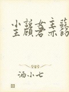 小说女主苏杳男主顾君亦的小说免费