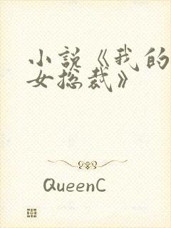 小说《我的高冷女总裁》