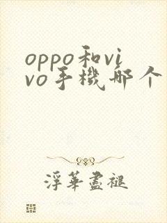 oppo和vivo手机哪个更耐用