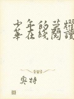 少年的荣耀李东华在线阅读