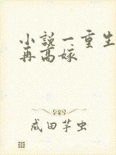 小说一重生七零再高嫁