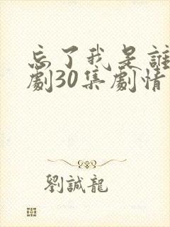 忘了我是谁电视剧30集剧情