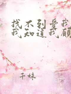 找不到爱我的人我知道我愿意再等是什么歌