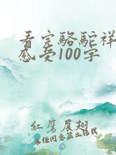 看完骆驼祥子的感受100字