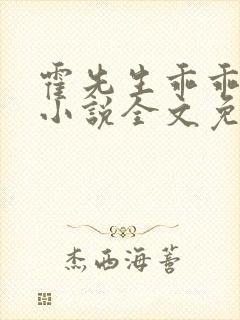 霍先生乖乖宠我小说全文免费阅读无弹窗