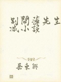 别闹薄先生无删减小说