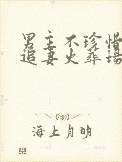 男主不珍惜女主追妻火葬场