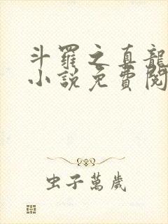 斗罗之真龙斗罗小说免费阅读