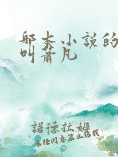 哪本小说的主角叫萧凡