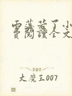 雨落若了小说免费阅读全文最新章节