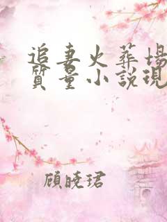 追妻火葬场的高质量小说现代言情