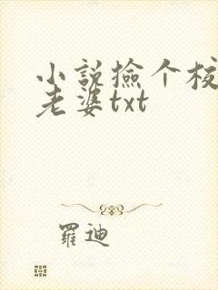 小说捡个校花做老婆txt