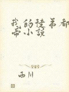 我的徒弟都是女帝小说