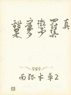 甜蜜惩罚真人版是多少集