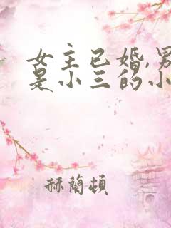 女主已婚,男主是小三的小说