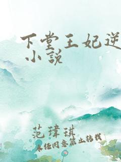下堂王妃逆袭记 小说