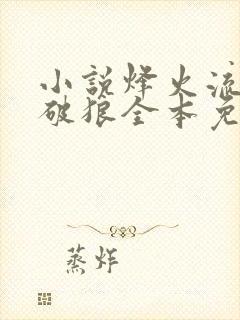 小说烽火流金杀破狼全本免费下载