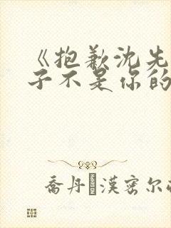 《抱歉沈先生孩子不是你的》短剧