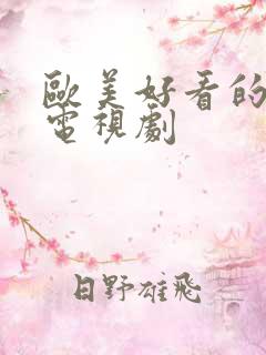 欧美好看的犯罪电视剧