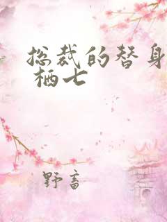 总裁的替身前妻 栖七