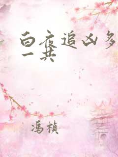 白夜追凶多少集一共