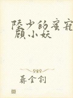 陆少的蜜宠甜妻 顾小妖
