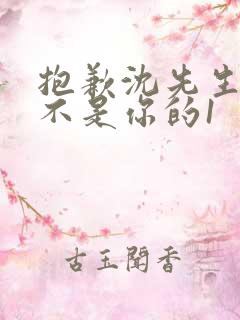 抱歉沈先生孩子不是你的1