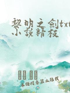 黎明之剑txt小说精校