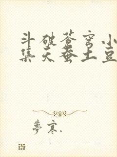 斗破苍穹小说续集天蚕土豆