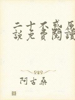 二十不惑原著小说免费阅读