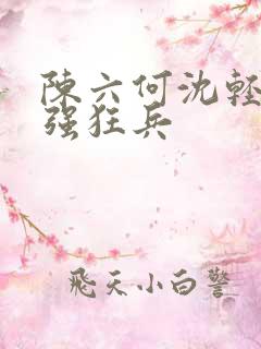 陈六何沈轻舞最强狂兵