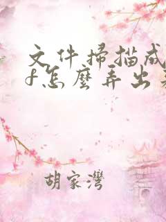 文件扫描成pdf怎么弄出来