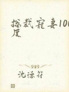总裁宠妻100度