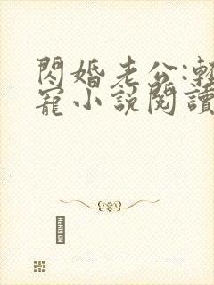 闪婚老公:轻点宠小说阅读全部