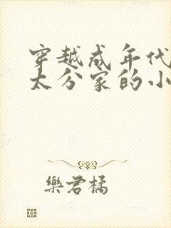 穿越成年代老太太分家的小说