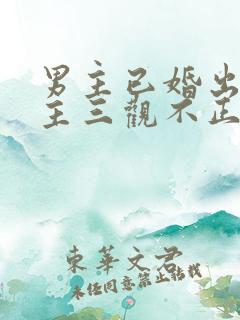 男主已婚出轨女主三观不正