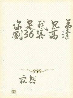 你是我兄弟电视剧36集高清完整版