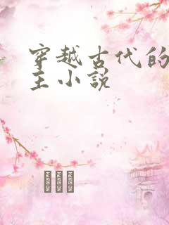 穿越古代的双男主小说