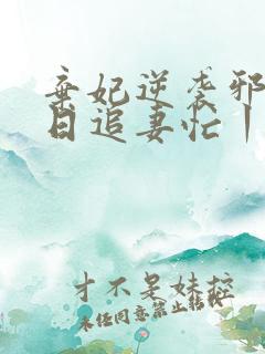 弃妃逆袭邪王日日追妻忙丨