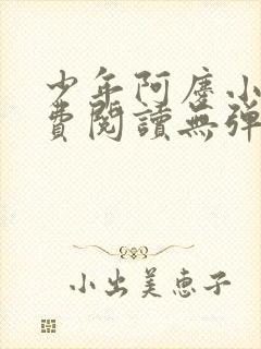 少年阿庆小说免费阅读无弹窗