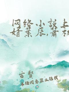 网络小说上门龙婿叶辰,萧初然